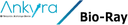 ORTHO PREMIUM LTDA