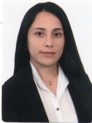 DIANA GABRIELA BELTRAN GORDILLO