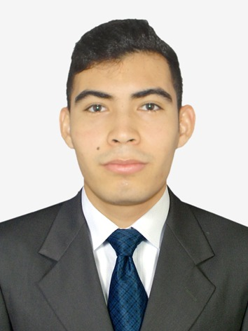 DAVID CAMILO MERCADO MERCADO