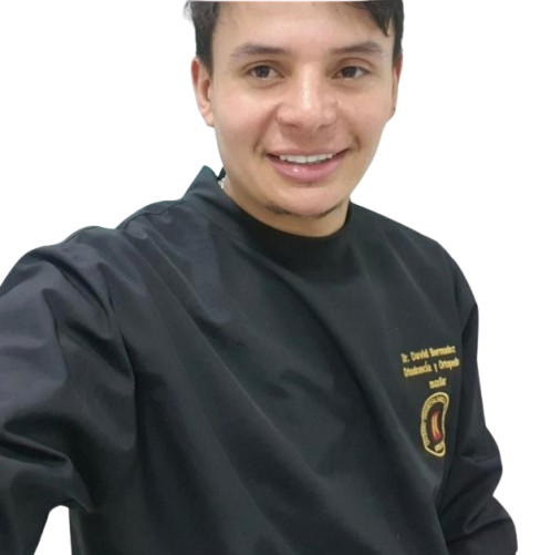 DAVID ANDRES BERMUDEZ PEÑA