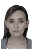 ANGELA PATRICIA LAVERDE GOMEZ