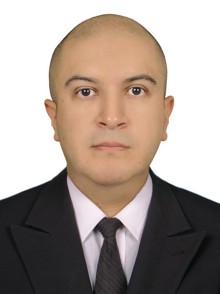 ANDRES ALBERTO BRAVO MEJIA