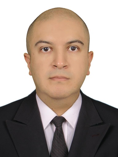 ANDRES ALBERTO BRAVO MEJIA