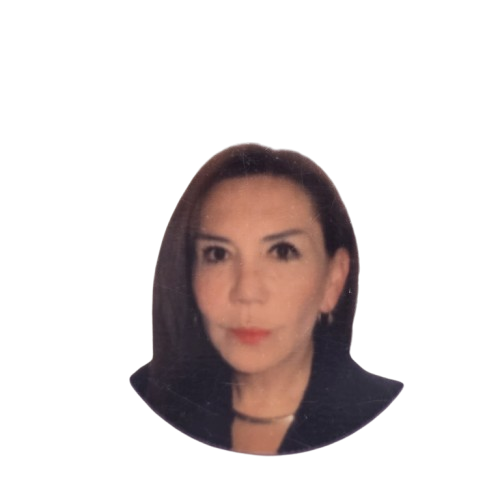 CARMEN SOFIA PUENTES TORRES